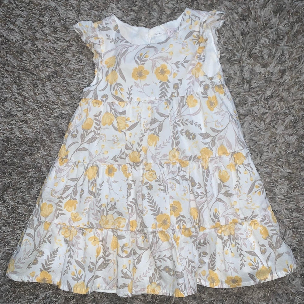 Catherine Malandrino Baby Girls Formal Floral Dress
12 Months